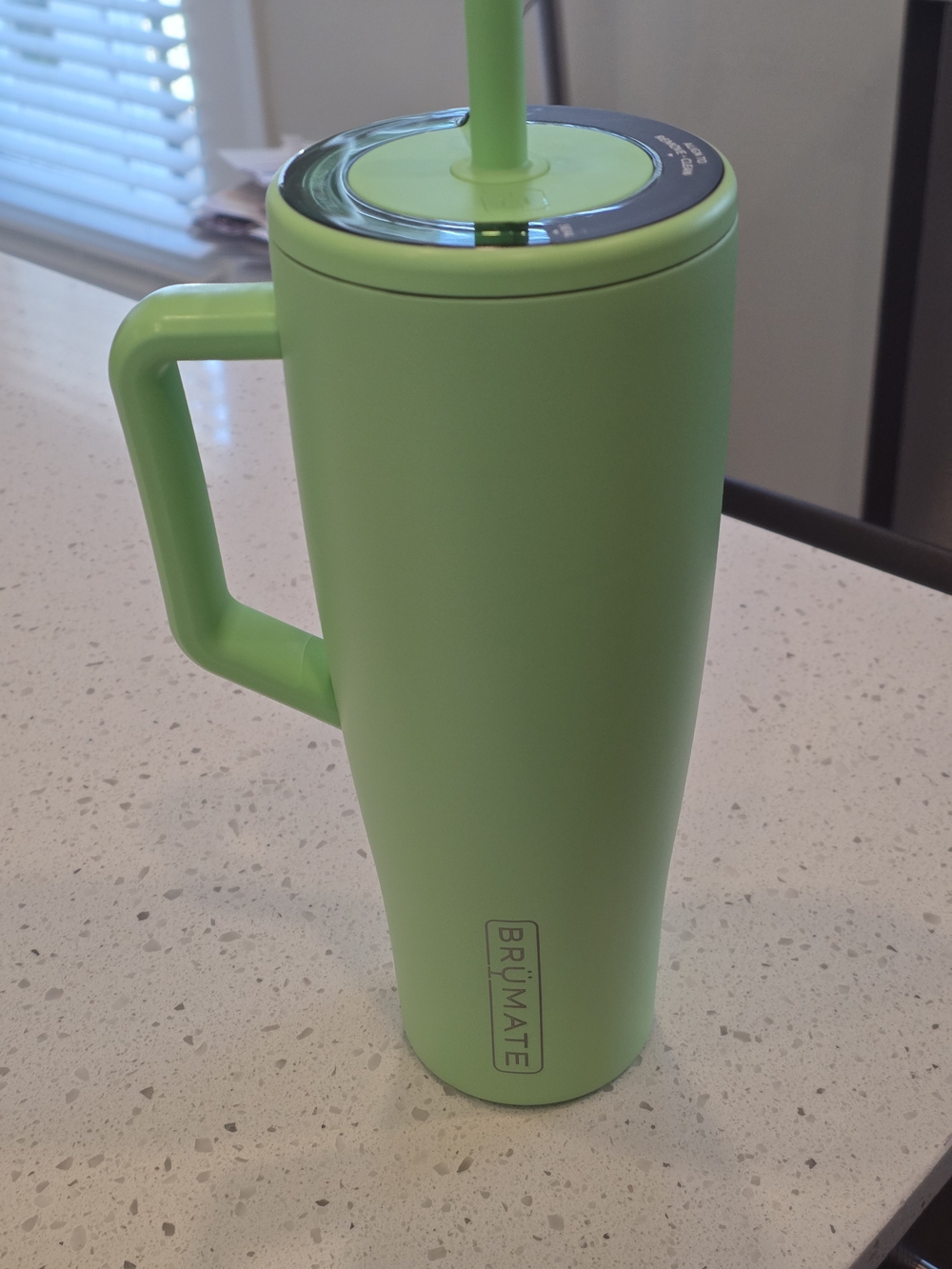 BruMate ERA Kiwi (Green) 40 oz Insulated Tumbler with Handle - Picture 2 of 3